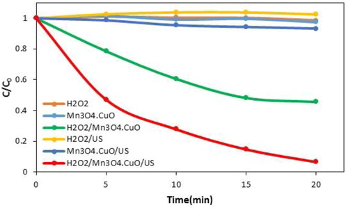 Figure 5. Catalytic degradation efficiency of PNP in different systems.