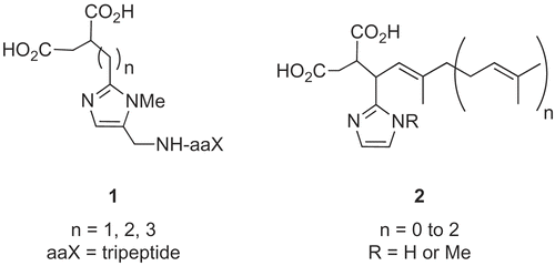 Figure 1.  Potential bisubstrate analogues.