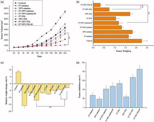 Figure 10. (a) Anticancer efficacy in MCF-7 xenografts in female nude mice after treatment with varying formulations; (b) weights of dissected tumors at the end of treatment; (c) relative weight change of varying formulations in tumor-bearing nude mice; (d) tumor inhibition rate of varying formulations in tumor-bearing nude mice. **p < .01 (n = 6).