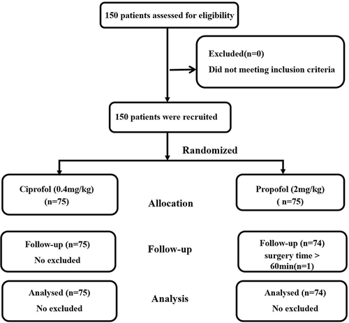 Figure 1 Flow diagram representing patient enrollment, group assignment, and analysis.