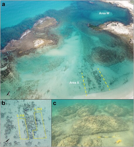 Figure 13. Roman Period quay in North Bay (aerial photographs by A. Ben Zaken and A. Tamberino; underwater photograph by A. Yurman).