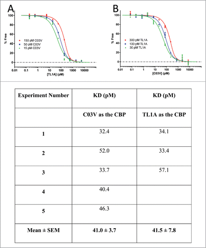 Figure 2. The affinity of C03V for human TL1A was determined using KinExA. A: C03V/TL1A KD determination with C03V as the constant binding partner (CBP). Equilibrium curves were generated with 15, 50 and 150 pM C03V. B: C03V/TL1A KD determination with TL1A as the CBP. Equilibrium curves were generated with 30, 100 and 300 pM TL1A. Table: KD values were determined using n-curve analysis of the equilibrium curves and an average KD value determined for each experiment. Five separate experiments were performed using C03V as the CBP and 3 separate experiments using TL1A as the CBP.