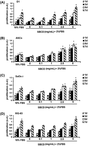 Fig. 2. Proliferative effect of SBCD.Notes: MTT Assay shows the proliferative effect of SBCD elicited on different cell types (D1, ASCs, SaOs-2, and MG-63) at different concentrations (0.1, 1, 2.5, and 5 mg/mL) and time points (1, 3, 5, and 7 days), when added to media with low serum concentration. Standard 10% FBS medium was used as positive control. Data are mean ± SD of three different experiments performed in eight different tests. Three lines from different donors were used for ASCs. ANOVA with Dunnett’s comparison test was performed: * = p < 0.05 vs. 2% FBS.