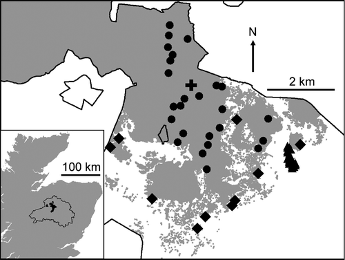 Figure 1 The study area. Main map: central part of Abernethy Nature Reserve, showing Reserve boundary (black line), forest area (grey), study plots (forest plots, circles; forest edge plots, diamonds; heathland plots, triangles (closely clustered at the east side of the map); and Forest Lodge (cross, British National Grid NJ020161; 57°14.2′ N, 3°37.5′ W). Inset: part of Scotland, showing the Cairngorms National Park (black line), Abernethy Reserve (black), and Aviemore meteorological station (triangle; British National Grid NH897143; 57°12.3′ N, 3°49.6′ W).