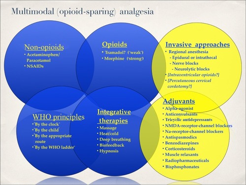 Figure 1 Managing children in acute cancer pain: multimodal “opioid-sparing” analgesia.