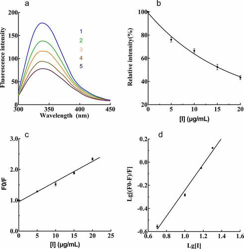 Figure 5. Effect of PTF from young loquat fruits on the emission spectrum of PPO. (a), Intrinsic fluorescence changes. (b), Florescence intensity changes. (c), Stern–Volmer curves of PTF. (d), Plot of log[(F0 − F)/F] against log[I] for PTF