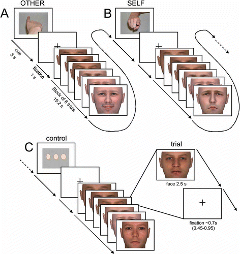 Figure 1. Time course of stimulus presentation during the scanning session. Subjects were instructed to empathize with the person presented on the screen and to (A) identify the emotional state observed in the face (other-task) or (B) evaluate their own emotional response to that face (self-task). As a control-task (C) a perceptual decision on the width of neutral faces was used. Each block (19.2 s) was preceded by an instruction cue (3 s) and comprised six stimulus faces (each 2.5 s), separated by a fixation cross (jittered duration: 0.45 – 0.95 s). Instruction cues were pictures of a finger pointing towards the subject (self-task), pointing away from the subject (other-task) or three dots of increasing width (control-task). Each of n = 72 individual faces was presented once displaying a happy expression, once displaying a sad expression and once displaying a neutral expression.