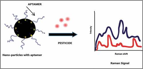 Figure 3. Diagrammatic representation of SERS based pesticide detection.