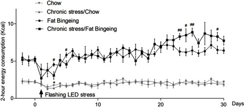 Figure 4 Effect of chronic stress on daily food intake measured from 6:00 pm-8:00 pm in each group. * denotes significant differences in daily food intake between the chronic stress/chow group and chow group, and # denotes significant differences between the fat-bingeing group and chronic stress/fat-bingeing group (*P<0.05, #P<0.05, and ##P<0.01).