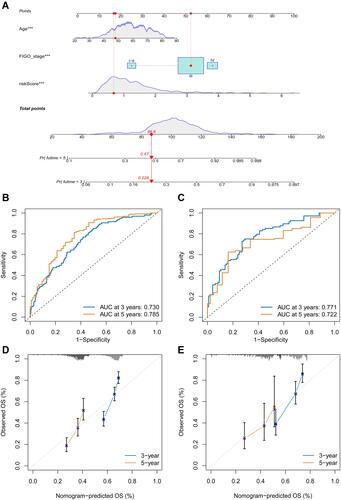 Figure 8 Establishment of a prognostic nomogram for ovarian cancer. (A) A nomogram for integration of clinicopathological parameters and risk score in the whole set. (B and C) ROC curves for predicting the 3- and 5-year survival ROC curves in the whole and external sets. (D and E) Calibration curves of the pyroptosis-clinical nomogram in the whole and external sets. Calibration curves depict the calibration of the pyroptosis clinical nomogram in terms of the agreement between the predicted 3- and 5-year overall survival and observed outcomes. ***p<0.001.