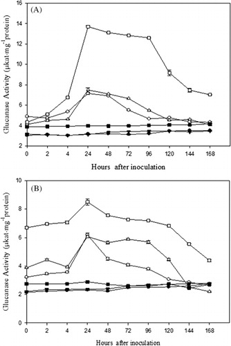 Figure 1. β-1,3-glucanase activity in control and pathogen (Macrophomina phaseolina) inoculated 15 days (A) and 1 month (B) old moth bean (Vigna aconitifolia) plants namely, FMM-96, RMO-40, and CZM-3. — • —RMO-40 control; — ○ — RMO-40 inoculated; —▾— CZM-3 control; — ∇ — CZM-3 inoculated; — ▪ — FMM-96 control; and — □ — FMM-96 control. Each value represents the mean of three replicates with SE determined. Mean differences were highly significant at p = 2.2 × 10−170 and at p = 1.1 × 10−159, level for 15-day- and 1-month-old plants, respectively.