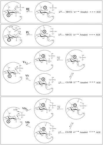 Figure 7. A two-dimensional rendering of the four mechanistic classes for the concomitant binding of Pi and glucopyranose in HbA as determined by MOE computation that go through or generate transient electrophile 3 or 4 (4 may then generate 5).