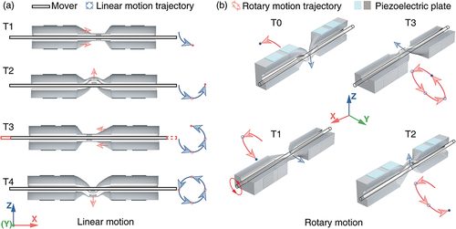 Figure 6. Schematic illustration of the working principle of two-DOF USM. (a) The linear motion of the proposed motor in one period. (b)The rotary motion of the proposed motor in one period.