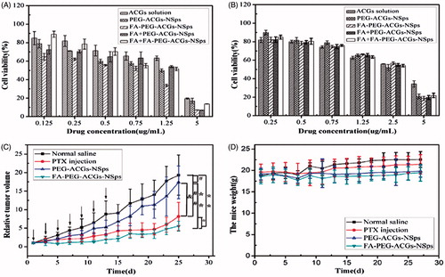 Figure 3. In vitro antiproliferative activity and in vivo antitumor experiments on HeLa tumor-bearing mice. (A) Cytotoxicity of ACGs solution, PEG-ACGs-NSps, FA-PEG-ACGs-NSps, FA + PEG-ACGs-NSps, and FA + FA-PEG-ACGs-NSps against HeLa cells (a) and A549 cells (b) for 24 h using MTT assay. All data are represented as mean ± SD (n = 6). (B) (a) The growth of relative tumor volume over time of PTX injections, PEG-ACGs-NSps, and FA-PEG-ACGs-NSps; (b) the average body weight change of mice along with time. All data are represented as mean ± SD. *p < .01, **p < .001 with FA-PEG-ACGs-NSps; &p < .01 with PEG-ACGs-NSps; #p < .01, ##p < .001 with normal saline. (C) The growth of relative tumor volume over time of PTX injections, PEG-ACGs-NSps, and FA-PEG-ACGs-NSps. (D) The average body weight change of mice along with time. All data are represented as mean ± SD. *p < 0.01, **p < 0.001 with FA-PEG-ACGs-NSps; &p < 0.01 with PEG-ACGs-NSps; #p < 0.01, ##p < 0.001with normal saline.