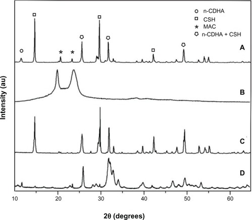 Figure 1 X-ray diffraction patterns of the composite cement with 30% n-CDHA/MAC (A), MAC (B), CSH (C), and n-CDHA (D).Abbreviations: CSH, calcium sulfate hemihydrate; n-CDHA, nano calcium-deficient hydroxyapatite; n-CDHA/MAC, nano calcium-deficient hydroxyapatite/multi(amino acid) copolymer; MAC, multi(amino acid) copolymer.