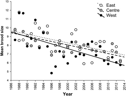 Figure 1. The mean brood size in Grey Partridges in the three regions of Poland in the years 1987–2013 (west: r = –0.6170, df = 25, P < 0.001, y = –0.137x + 281.6; centre: r = –0.6706, df = 25, P < 0.001, y = –0.099x + 206.1; east: r = –0.6098, df = 25, P < 0.001, y = –0.099x + 206.3).