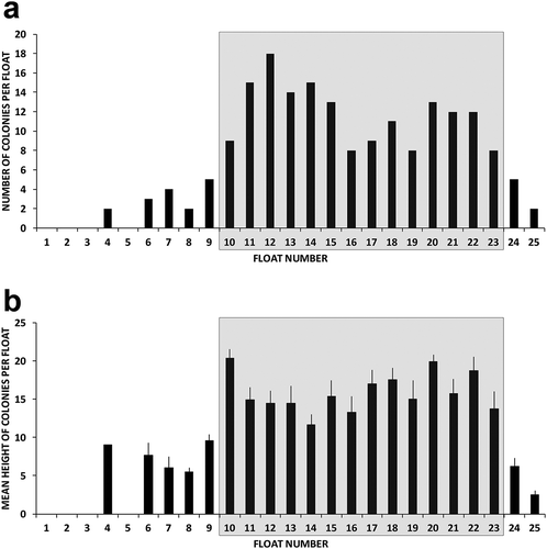 Figure 4. (a) Distribution of Leptogorgia sarmentosa colonies along the floating dock and (b) their average sizes (± standard error) per float. Numbers 1 to 25 indicate the concrete floats sustaining the dock, from the coast towards the sea; the grey squares indicate the floats covered by the awning, and therefore in sciaphilous conditions.