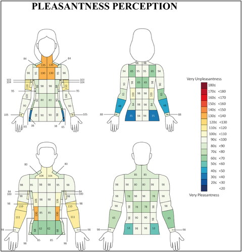 Figure 6. The females (n = 11) and males (n = 9) of pleasantness perception distribution across the 36-testing location. All measurements were taken from the left-hand side of the body assuming asymmetry (Claus et al. Citation1987; Meh and Denišlič Citation1994).
