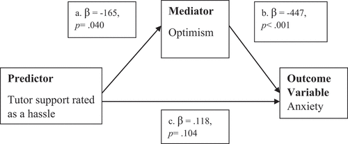 Figure 3. Optimism Mediator.