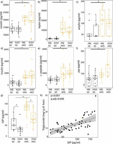 Figure 5. GIP is altered by the microbiome and diet and is associated with NAFLD severity. Serum samples of mice were collected after a 9-hour fast. Hormone profile is shown for (A) resistin, (B) leptin, (C) amylin, (D) insulin, (E) C-peptide, (F) PYY, and (G) GIP colored by diet (SD vs HFD) and by donor group (PRE vs POST). (H) Scatter plot showing the relationship between GIP and hepatic triglyceride content. Unadjusted and adjusted P-values adjusting for diet and donor group are shown. *indicates P-value<0.05. N = 16 per group, 64 mice total.