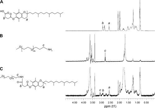 Figure S2 1H NMR spectrum of α-TOS (A), mPEG2K-NH2 (B), and T2K (C) in CDCl3.Note: (a, b, c) are the key protons on the molecule that were labeled for 1H-NMR analysis.Abbreviations: 1H-NMR, 1H-nuclear magnetic resonance spectroscopy; α-TOS, d-α-tocopheryl succinate; T2K, mPEG2K-α-TOS conjugate; α-TOS, α-tocopherol succinate.