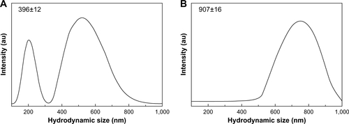 Figure S7 Hydrodynamic size of (A) ZnOSM20 and (B) ZnOAE100 at pH 7.0±0.3 (mean ± standard deviation based on the polydispersity index).