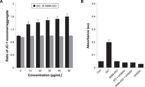 Figure 4 Effects of GO and NAM-rGO on mitochondrial membrane permeability and caspase-3 activity.Notes: (A) MEFs were treated with different concentrations (10–50 μg/mL) of GO and NAM-rGO for 24 hours. MMP (ratio of JC-1 monomer/aggregate) was determined after treatment. There was a significant difference in the MMP activity of GO-treated cells compared to that of untreated cells (Student’s t-test; *P<0.05). There was no significant difference between control and NAM-rGO-treated cells. (B) MEFs were treated with 10 μg/mL of GO and NAM-rGO with or without caspase-3 inhibitor for 24 hours. There was a significant difference in the caspase-3 activity of GO-treated cells compared to that of the untreated cells (Student’s t-test; *P<0.05). There was no significant difference between control and NAM-rGO-treated cells.Abbreviations: Con, control; GO, graphene oxide; NAM-rGO, nicotinamide-reduced graphene oxide; MMP, mitochondrial membrane permeability; MEFs, mouse embryonic fibroblast cells.