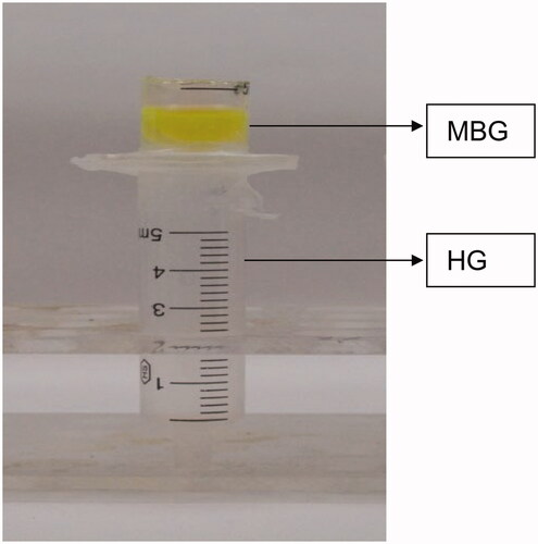 Figure 1. Diffusion of microemulsion droplets in hydrogel (HG).