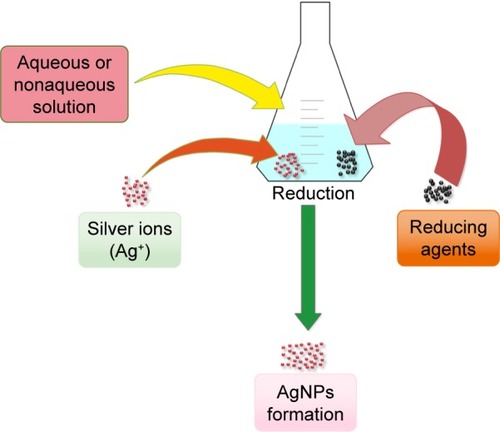Figure 2 Chemical synthesis of AgNPs.Abbreviation: AgNPs, silver nanoparticles.