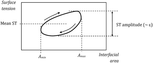 Figure 1. Definition of the mean surface tension (mean ST) and the surface tension amplitude (ST amplitude) in the experimental γ-A relationship (hysteresis loop).