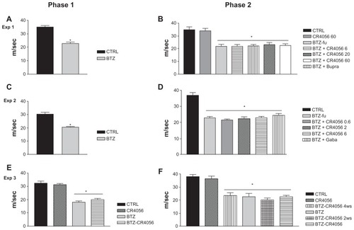 Figure 3 Results of nerve conduction velocity (NCV) study performed on the tail of control (CTRL) and bortezomib (BTZ)-treated rats: Experiment (Exp) 1, phase (A) 1 and (B) 2; Exp 2, phase (C) 1 and (D) 2; Exp 3, phase (E) 1 and (F) 2. BTZ induced a significant reduction in NCV in all BTZ-treated rats after 8 weeks of treatment and at the end of Exps 1, 2, and 3.a The analgesic compounds tested did not significantly counteract the effect of BTZ on NCV.