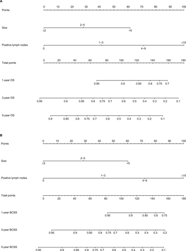 Figure S1 Nomograms for predicting the 1-, 3-, and 5-year (A) OS and (B) BCSS of TNBC patients with tumor size and the number of positive lymph nodes.