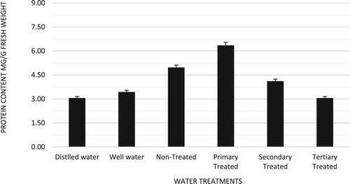 Figure 2. Effect of sewage water treatments on protein content of C. procera (n = 4, Mean ± S.E.).