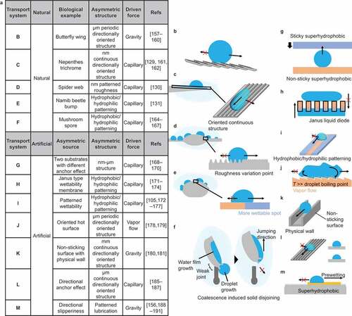 Figure 10. Natural and artificial droplet transport based on anisotropic surface structure/chemistry.