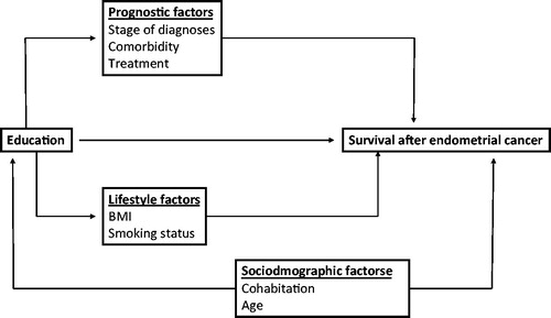 Figure 1. Hypothesized causal relations between education, sociodemographic factors, clinical prognostic factors, lifestyle factors and survival after endometrial cancer.