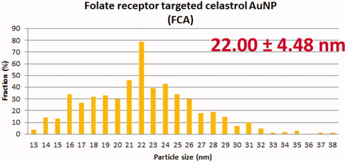 Figure 12. Nanoparticle size of folate receptor targeted celastrol AuNP (FCA).