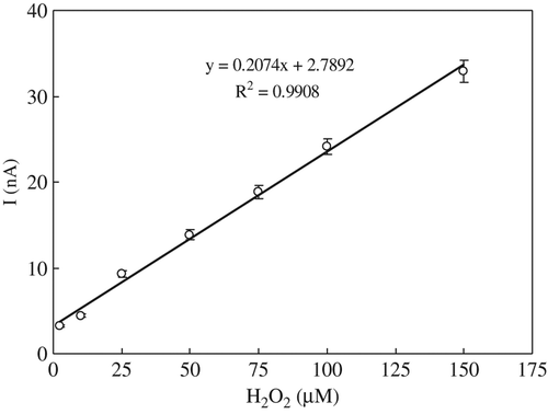 Figure 4. Calibration curve of the response current of the biosensor to H2O2 concentration.