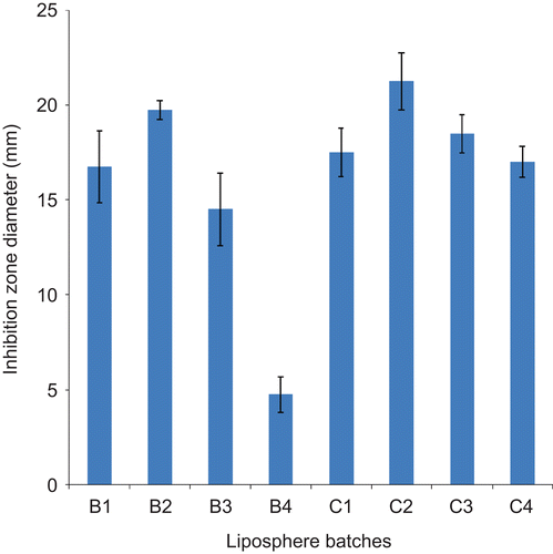 Figure 3.  Ceftriaxone release from drug-loaded lipospheres as a function of inhibition zone diameter using E. coli as test organism obtained after 1 month of storage (n= 3): B1–B4 contain 2%w/w ceftriaxone sodium; and C1–C4 contain 3%w/w ceftriaxone sodium.