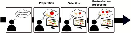 Figure 4. Current model of multiple-target search. Preparation. When set out to look for two targets, multiple target representations can be prepared and kept in a ready-to-use state. However, these representations stand in a competitive relationship to each other (represented through round arrowheads), responsible for a minor cost that arises at this stage. Selection. During search, these top-down target biases interact with matching bottom-up signals factors and trigger recurrent feedback loops that cause both target features to be concurrently enhanced, leading to selection. However, at this stage, when both targets are present in the display, the mutual inhibitory relationship between the target representations becomes detrimental and severely impairs selection, representing the major bottleneck of multiple-target search. Post-selection processing. Once potentially task-relevant information has been selected, individuals need to verify whether it is indeed the sought-for information. Its limitations are currently unknown for VWM based search tasks.