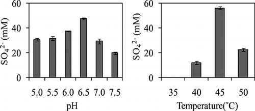Figure 3. Influence of medium pH and incubation temperature on sulfur oxidization by the RAN5 strain.