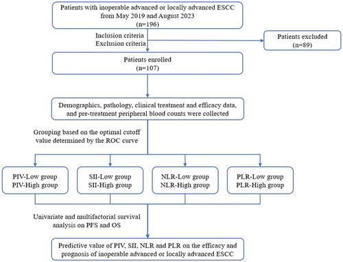 Figure 1. The flowchart of the study on the predictive value of pretreatment peripheral blood inflammatory markers regarding immunotherapy in patients with inoperable advanced or locally advanced ESCC.