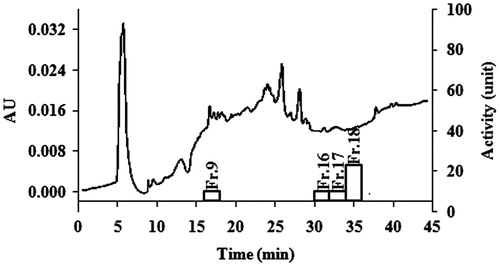 Figure 4. Preparative HPLC consequences of the EAF detected at 210 nm and antibacterial activity of each 2-min eluent fraction. The line represents the intensity of peaks (left axis) whereas the column represents antibacterial activity (right axis).