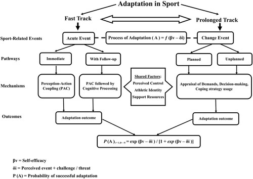 Figure 1. A meta-model of adaptation in sport (MAS model).