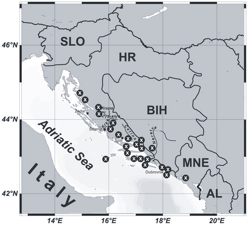 Figure 1. The study area with distribution of relevés. Abbreviations: SLO: Slovenia; HR: Croatia; BIH: Bosnia and Herzegovina; MNE: Montenegro; AL: Albania.