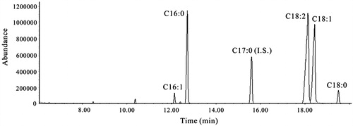 Figure 1. A representative total ion chromatogram of non-polar fraction of G. frondosa. C16:0: palmitic acid (71.3 ± 2.2 mg/ml), C16:1: palmitoleic acid (5.57 ± 0.48 mg/ml), C17:0 (internal standard): heptadecenoic acid, C18:0: stearic acid (5.71 ± 0.08 mg/ml), C18:1: oleic acid (388 ± 5.8 mg/ml), C18:2: linoleic acid (327 ± 6.1 mg/ml). Values are mean ± SE (n = 3).