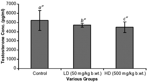 Figure 3. Testosterone levels. Levels declined from 5210 ± 1090 pg/ml (C), 4710 ± 220 pg/ml (LD) to 4500 ± 580 pg/ml (HD). Comparing b″ and c″ to a″, differences were not statistically significant.