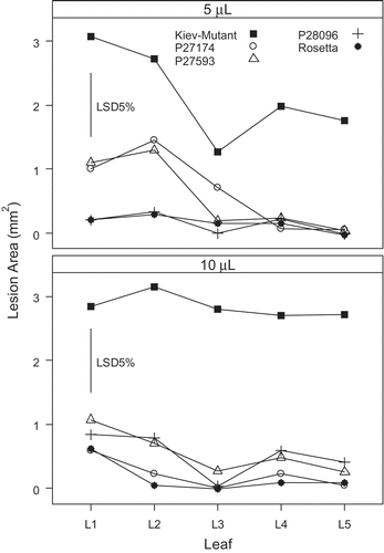 Fig. 3. Effect of leaf position and volume of spore suspension (at 1 × 107 Diaporthe toxica spores ml−1) applied to detached leaves of Lupinus albus in Experiment 2. Leaf 1 was the first true leaf and the next leaves (up to five) were taken in successive order up the stem from the cotyledons.