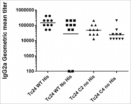 Figure 9. Measurement of IgG2a in vaccinated mice by ELISA. Anti-Tc24 IgG2a antibody titers in terminal serum were measured by ELISA for wild-type and mutant Tc24 constructs. Antibody titers in mice vaccinated with Tc24-C2 no His or Tc24-C4 no His were not significantly different from mice vaccinated with Tc24-WT no His.