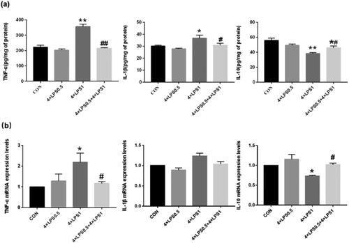 Figure 3. ET preconditioning inhibited neuroinflammation induced by continuous high dose LPS injection. (a) The levels of TNF-α, IL-1β, and IL-10 in the SN were detected by ELISA. (b) The levels of TNF-α, IL-1β, and IL-10 in the SN were detected by qRT-PCR. Data are presented as the mean ± SEM (n = 3 mice per group). Statistical significance was determined by ANOVA with post hoc LSD tests or Dunnett's T3 tests; *p < .05, **p < .01 versus control group, #p < .05, ##p < .01 versus 4 × LPS1 group.