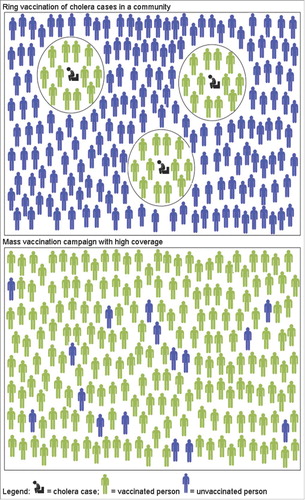 Figure 1. Schematic diagram of a ring versus mass oral cholera vaccination of a community.